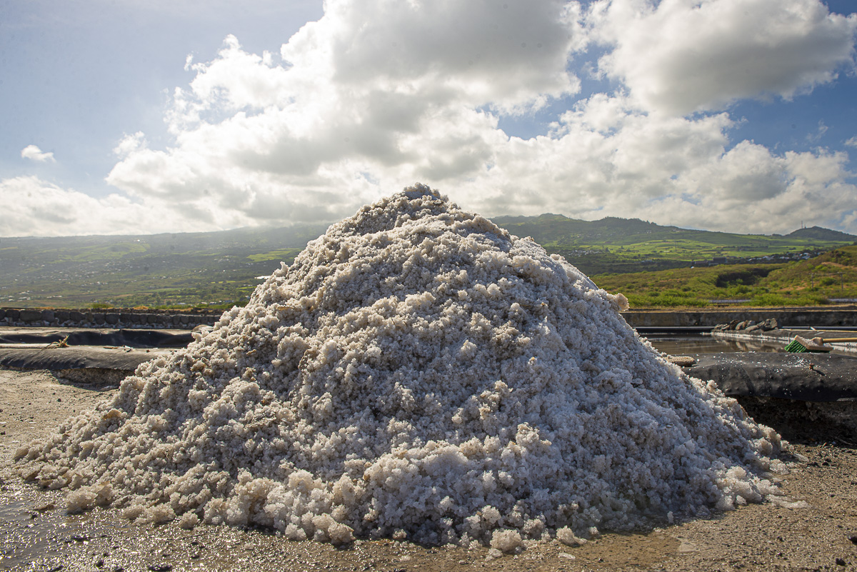 photographie de tas de sal en cours de cristallisation