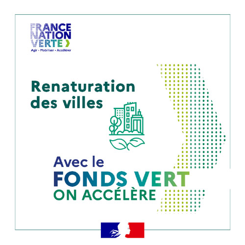 Plan 1 million d'arbres 
