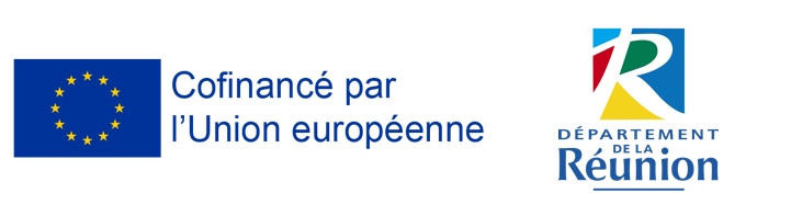 logo UE et DPT