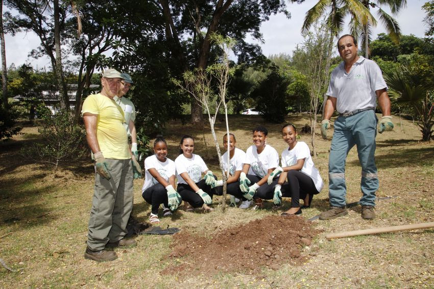 A l'occasion de la « Journée internationale des forêts », 30 plants ont été mis en terre au sein de l'arboretum de l'ONF à la Providence. 