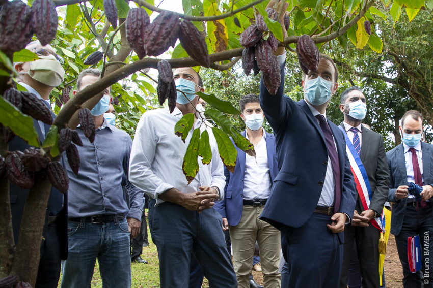 Le Ministre des Outre-Mers Sebastien Lecornu dans le champ de cacaos de la plantation Melissa.