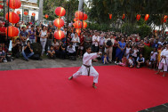 Démonstration d’arts martiaux par l'Association DOJO CLUB CHANE LIAT