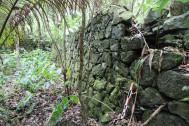 Mur de pierres sèches sur le site de l'ilet à Guillaume